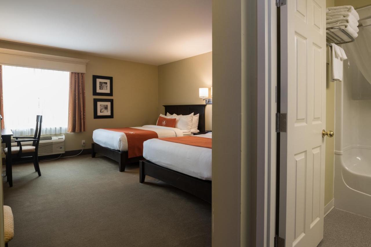 Amsterdam Inn & Suites סאסקס מראה חיצוני תמונה