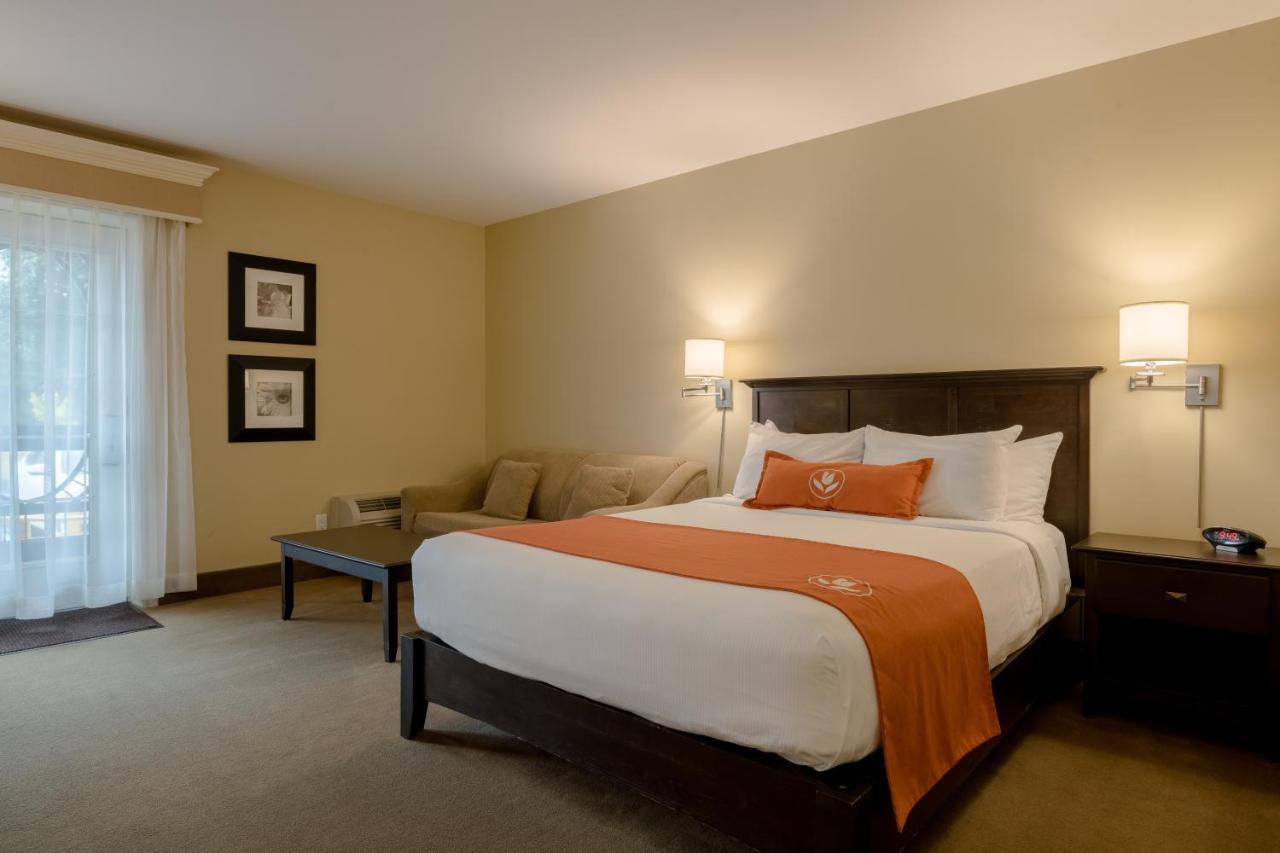 Amsterdam Inn & Suites סאסקס מראה חיצוני תמונה