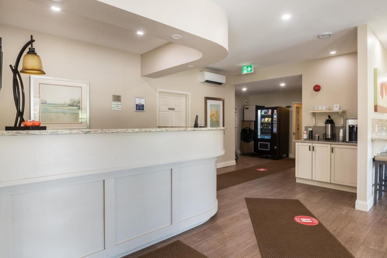 Amsterdam Inn & Suites סאסקס מראה חיצוני תמונה