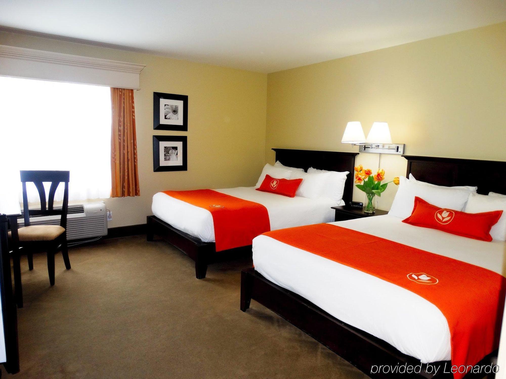 Amsterdam Inn & Suites סאסקס מראה חיצוני תמונה