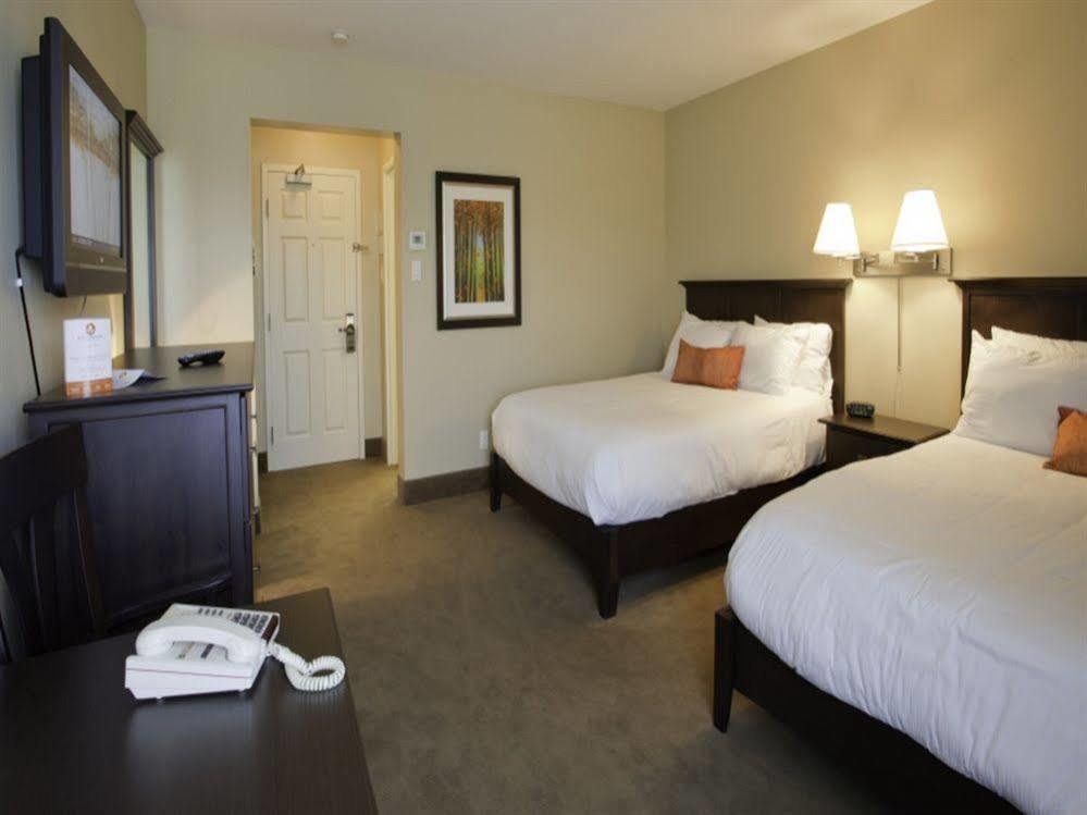 Amsterdam Inn & Suites סאסקס מראה חיצוני תמונה