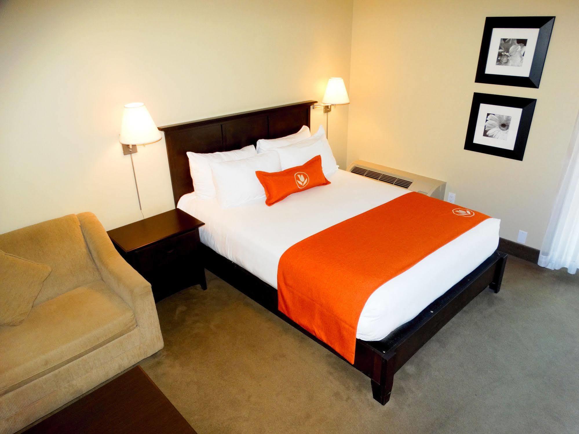 Amsterdam Inn & Suites סאסקס מראה חיצוני תמונה