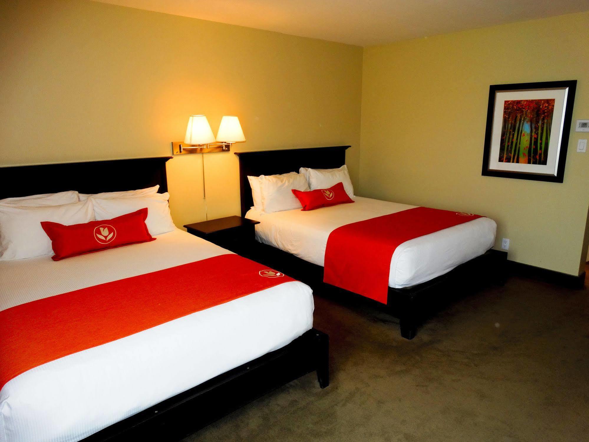 Amsterdam Inn & Suites סאסקס מראה חיצוני תמונה